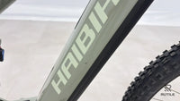 Haibike ALLMTN 4