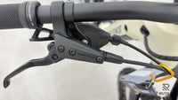 Stevens E-Cayolle