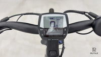 Winora Sinus R8f