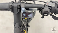 Yuba FastRack Espresso Family Edition