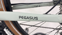 Pegasus Solero E9 Sport