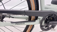 Pegasus Solero E9 Sport