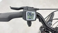 Raleigh eCity7