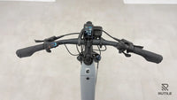 Advanced Ebike Trekking Pro Wave