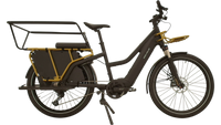 Riese & Müller Multicharger Mixte GT Light