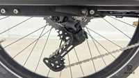 Riese & Müller Multicharger Mixte GT Light