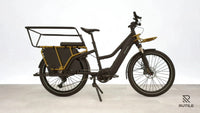 Riese & Müller Multicharger Mixte GT Light