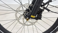 Riese & Müller Multicharger Mixte GT Light