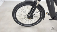 Riese & Müller Multicharger Mixte GT Light