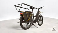 Riese & Müller Multicharger Mixte GT Light