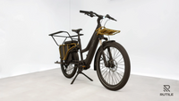 Riese & Müller Multicharger Mixte GT Light