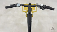 Riese & Müller Multicharger Mixte GT Light