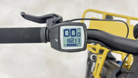 Riese & Müller Multicharger Mixte GT Light