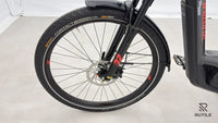 Haibike Trekking 9 Damen