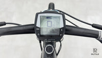 Haibike Trekking 9 Damen
