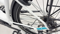 Pegasus Premio Evo 10 Lite
