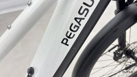 Pegasus Premio Evo 10 Lite