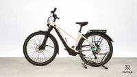 Pegasus Premio Evo 10 Lite