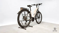 Pegasus Premio Evo 10 Lite