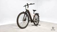 Pegasus Premio Evo 10 Lite