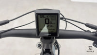 Pegasus Premio Evo 10 Lite
