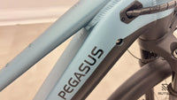 Pegasus Premio Evo 10 Lite