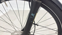 Pegasus Premio Evo 10 Lite