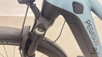 Pegasus Premio Evo 10 Lite