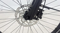 Pegasus Premio Evo 10 Lite