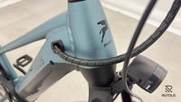 Pegasus Premio Evo 10 Lite