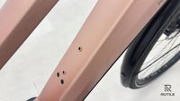 Riese & Müller UBN Seven Touring