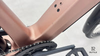 Riese & Müller UBN Seven Touring