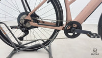 Riese & Müller UBN Seven Touring