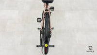 Riese & Müller UBN Seven Touring