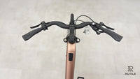 Riese & Müller UBN Seven Touring
