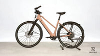 Riese & Müller UBN Seven Touring