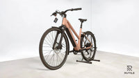 Riese & Müller UBN Seven Touring