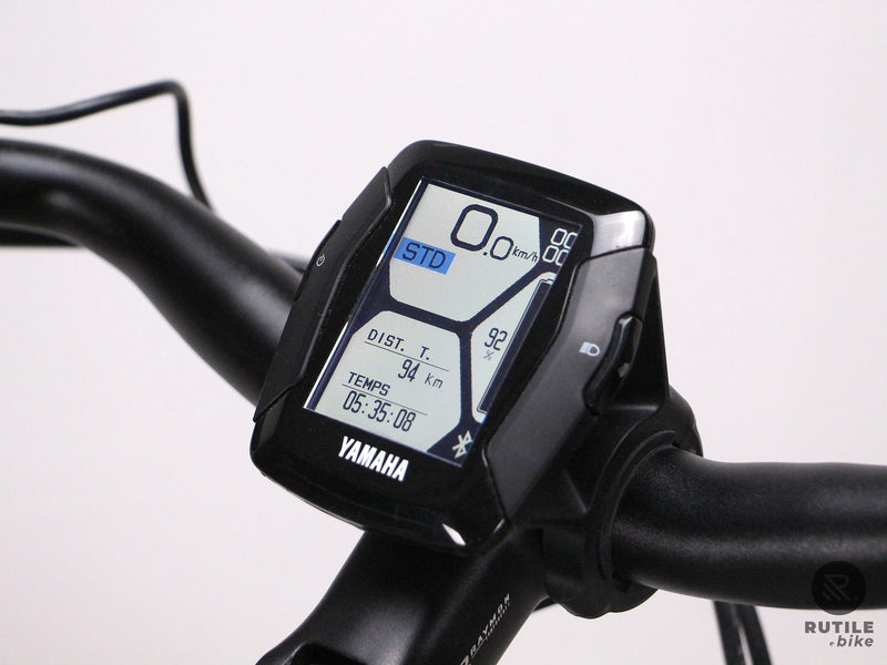 Raymon CityRay E 3.0