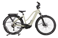 Vélo électrique Flyer G1 Upstreet 5.10 Mixed Vert M Vélo électrique vtc - Rutile