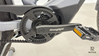 Winora R5 Pro Gris