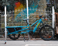 Antivol en U Auvray - U Xtrem Bike
