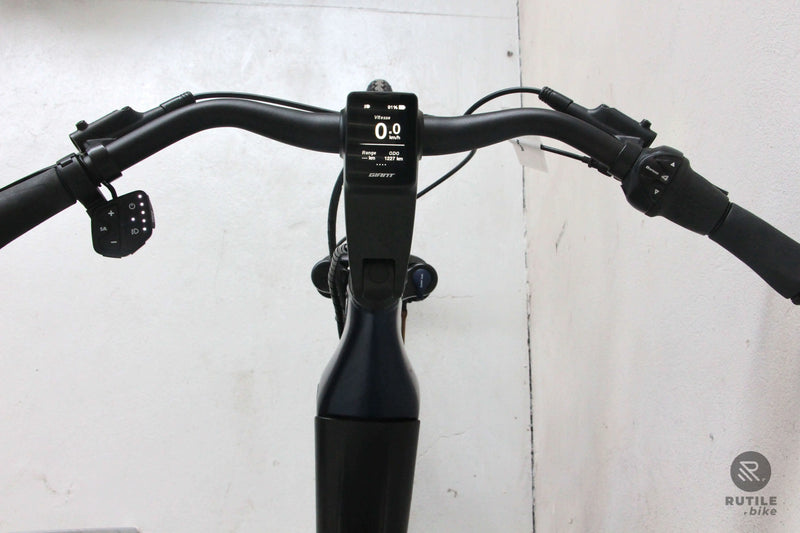 Giant daily tour e+ sales