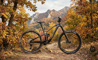 Trek Fuel EXe 9.7