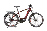 Vélo électrique Haibike Trekking 11 Vélo électrique vtc - Rutile