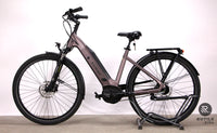 Carver Cityzen E.420 RT