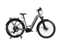 Winora Yucatan X9 LOW