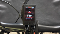 Yuba Spicy Curry PRO (BreadBaskt + FrontProRack)