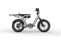 Porte-bagages UTO pour OG200