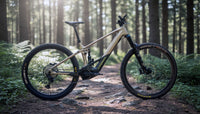 Orbea Wild H10