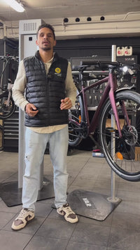 Winora eFlitzer bordeaux